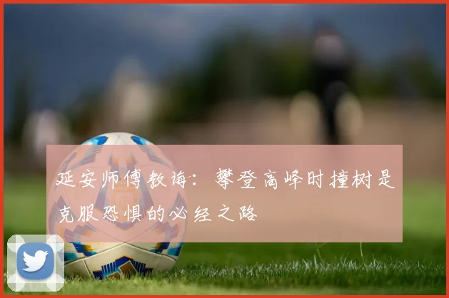 延安师傅教诲：攀登高峰时撞树是克服恐惧的必经之路